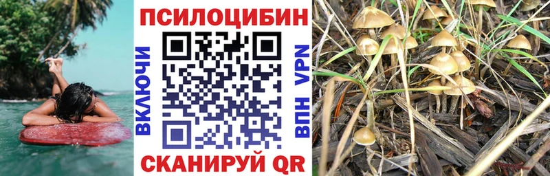 Псилоцибиновые грибы мухоморы  МЕГА маркетплейс  Фатеж 